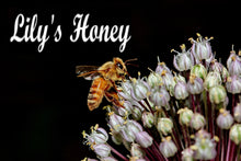 Lily's Honey